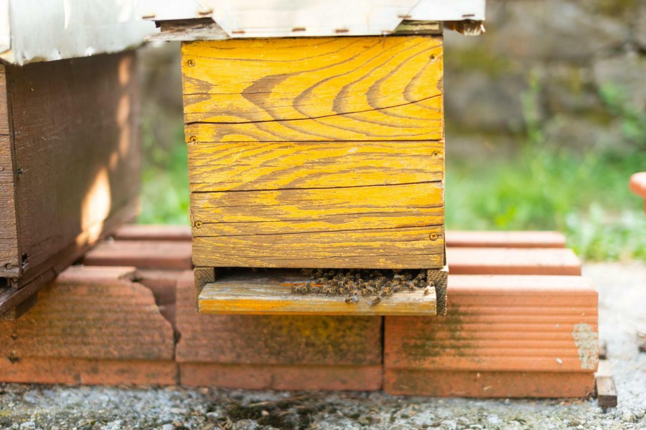 Honey Farm House فيربازار المظهر الخارجي الصورة