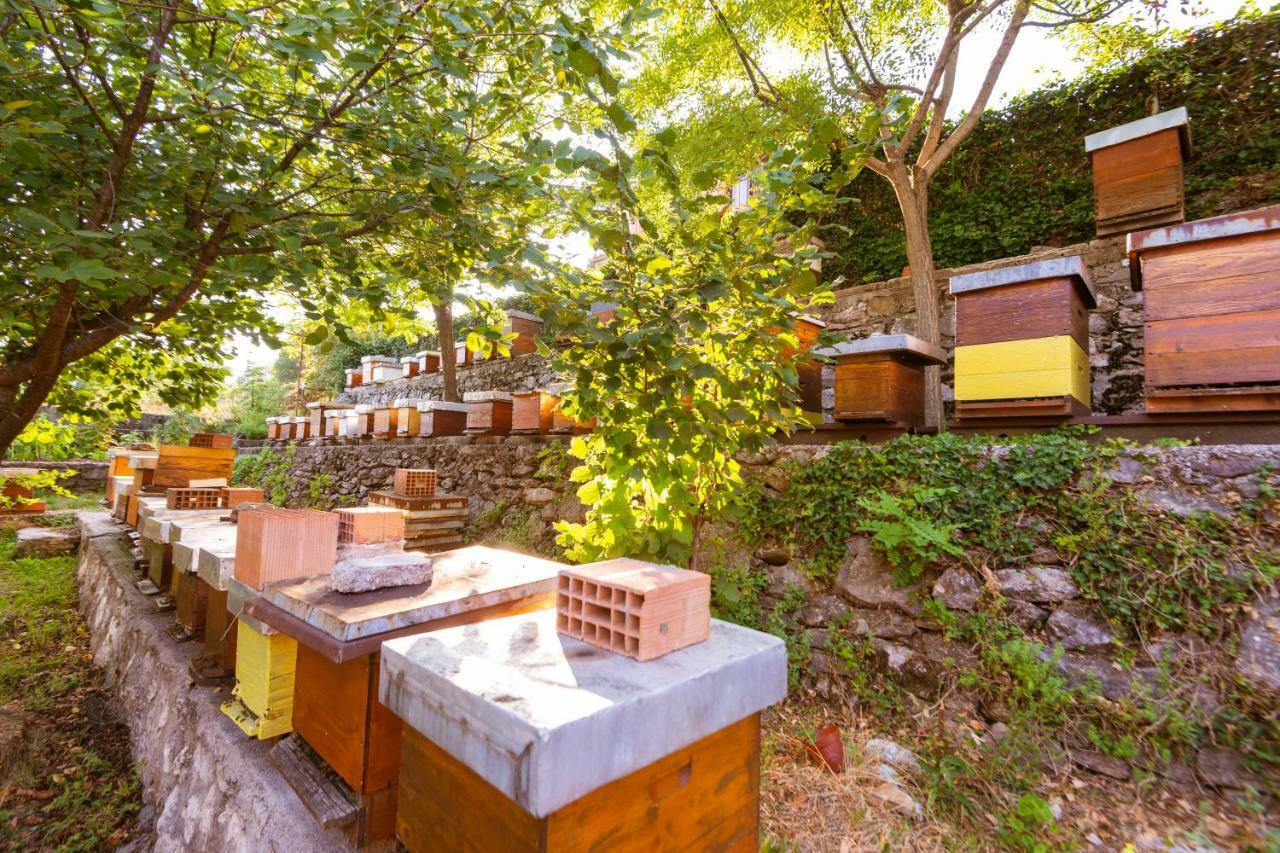 Honey Farm House فيربازار المظهر الخارجي الصورة